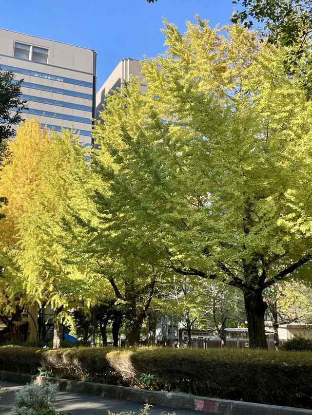 靜謐之中，拾得日比谷之詩