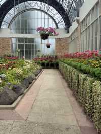 One Of The Best Free Things In Auckland, The Stunning Winter Gardens 