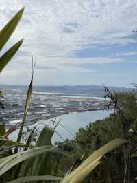 A Morning Walk Up The Mount, A Must Do In Tauranga NZ