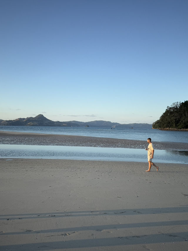 Heaven On Earth At The Coromandel, North Island NZ 