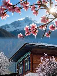 去有花盛開的地方，欣賞山川之美