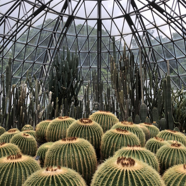 深圳東部一日游，解鎖博物館、公園、植物園！