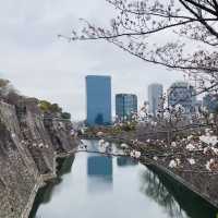大阪城公園：歷史與自然的交融
