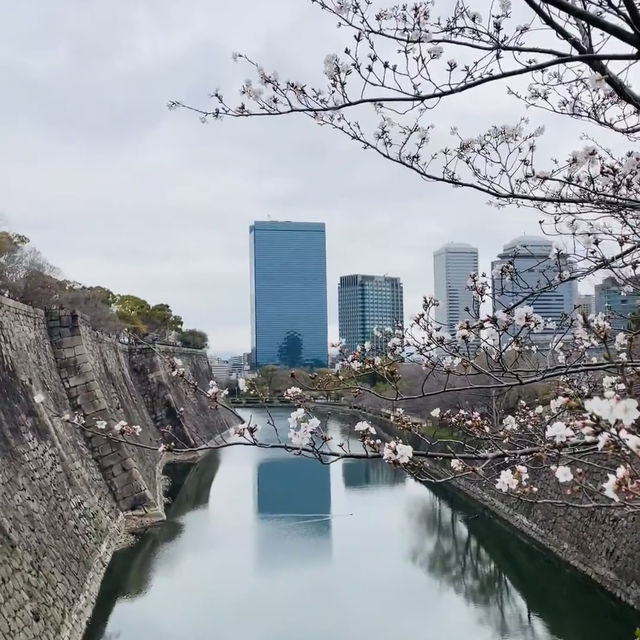大阪城公園：歷史與自然的交融