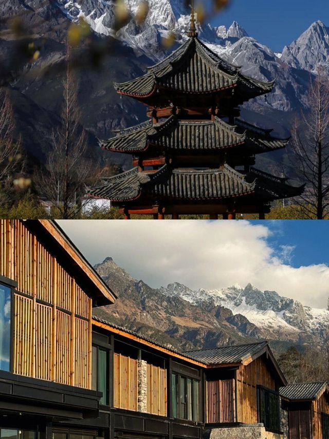 麗江地道美食探秘，這家餐廳絕了