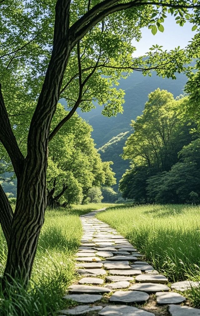 天津薊州篇——夏日出逃之梨木台