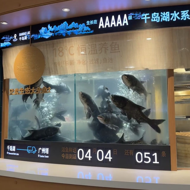 你可以永遠相信廣州塔的夜景！（附詳細路線🌃 