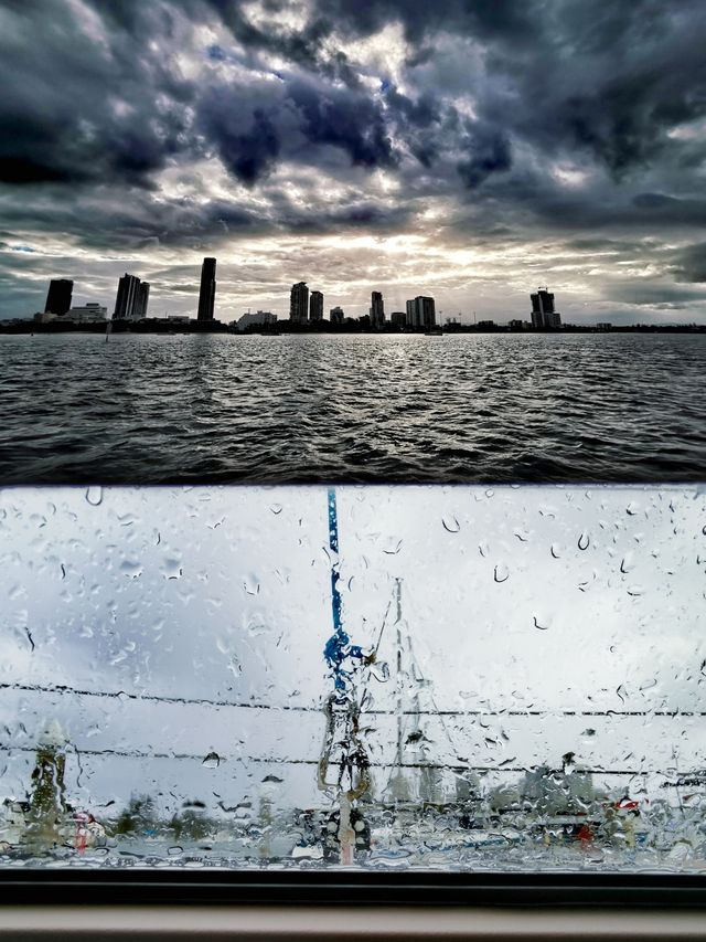 快樂行動派丨雨天遊艇出海，意外偶遇海豚