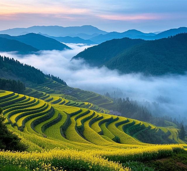 四月浙江週末遊 | 一週一個，小眾地打卡