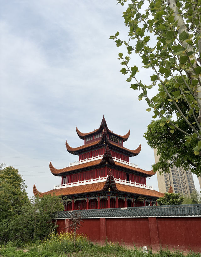 在洪湖知名的東林古寺打卡。