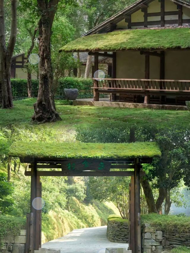 攜程筆記 隱世桃源，雲舍之約