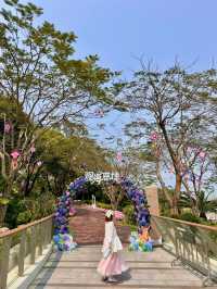 🌸珠海限定！城市客廳繡球花海來襲  