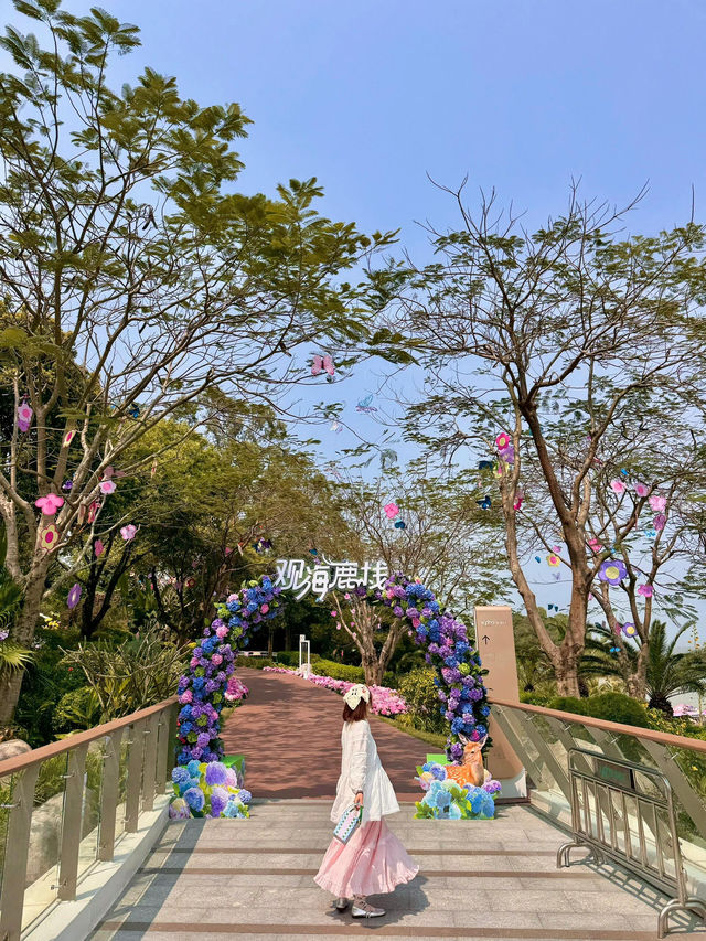 🌸珠海限定！城市客廳繡球花海來襲  