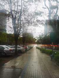 🌧️午後東湖散步記｜風雨中的意外片刻