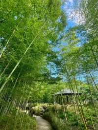 大阪周邊寶藏小眾園林！好古園探秘🎐