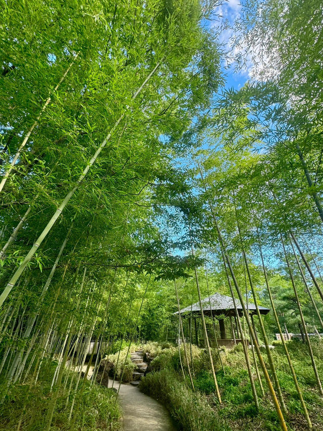 大阪周邊寶藏小眾園林！好古園探秘🎐