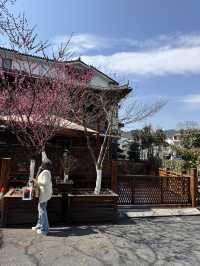 Spring in Hangzhou is the best