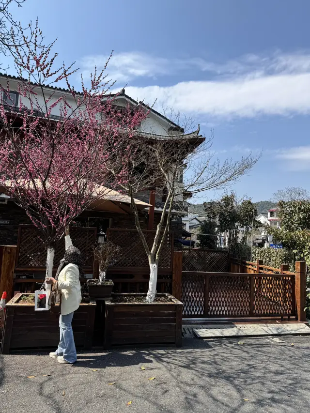 Spring in Hangzhou is the best