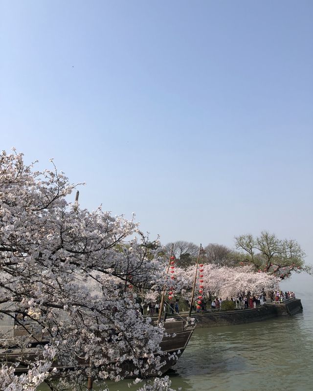 無錫48小時輕奢遊：住禪意客棧、吃船宴、抱佛腳