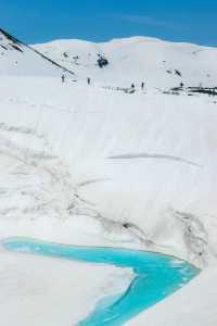立山黑部雪牆：壯觀的自然奇景