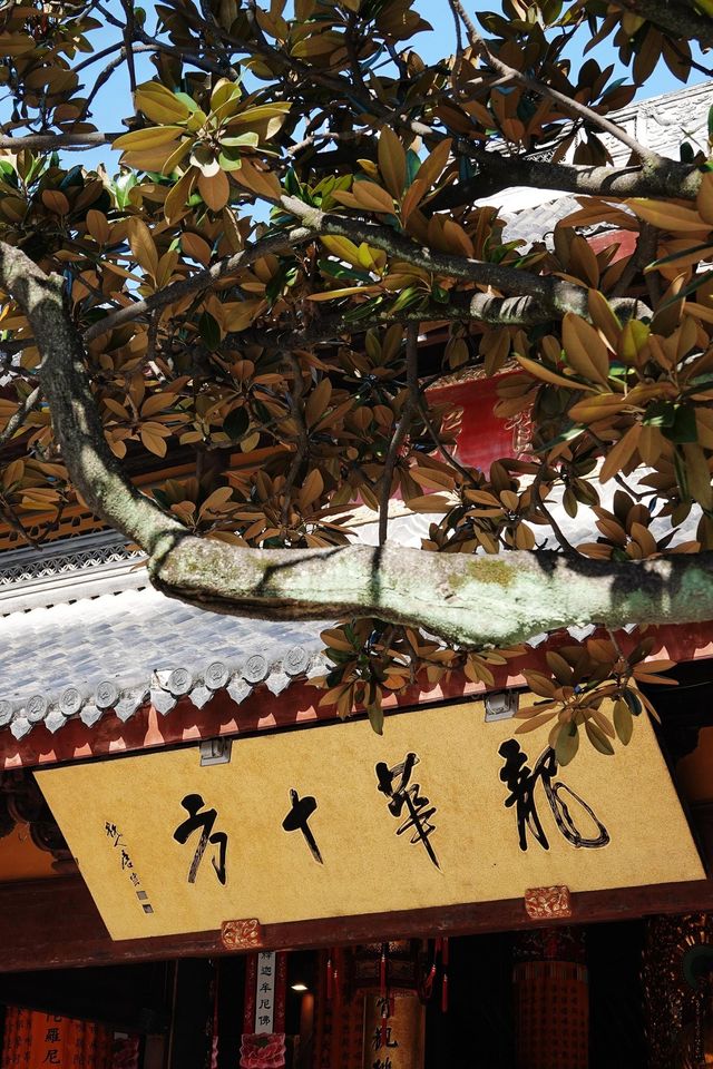 禪境龍華