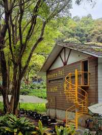 以為去了清邁🏞️，其實身在永泰☕！