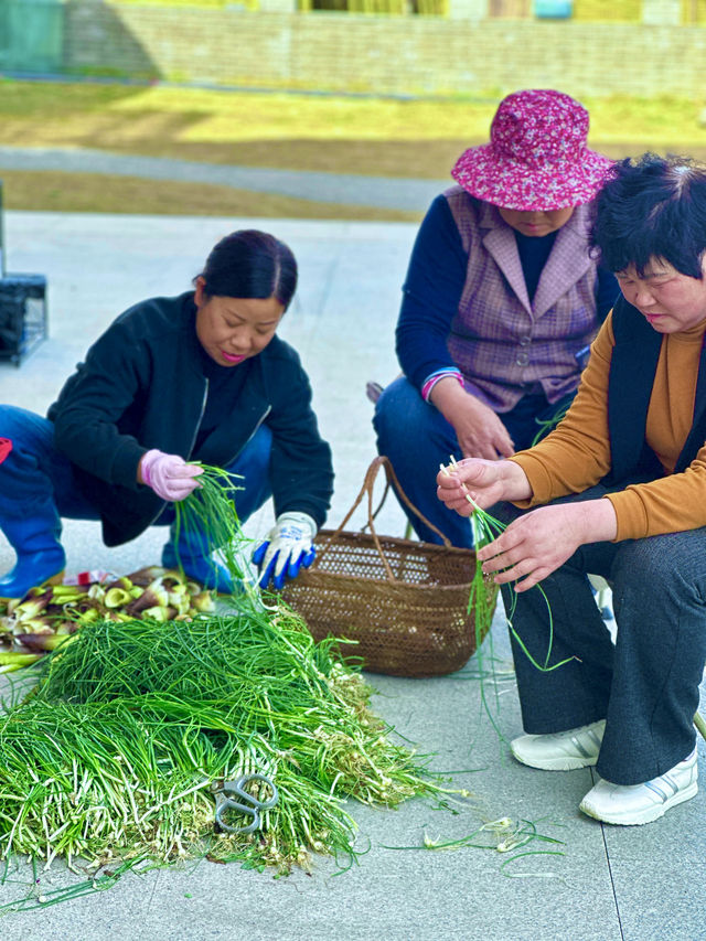 五一假期告別擁擠人潮！在皖南川藏線化身快樂村夫。