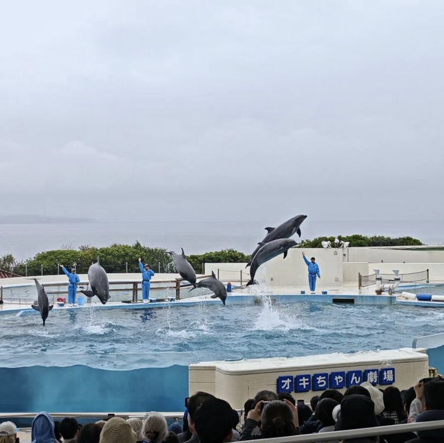 🌟【冲绳那霸｜海风与文化的治愈之旅】🌊