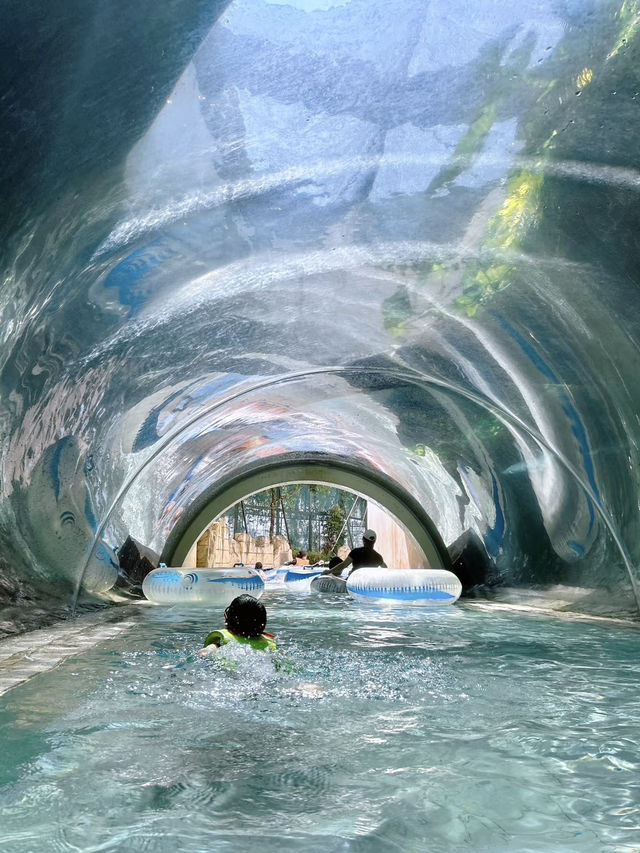 水上樂園，親子樂趣：水上探險樂園