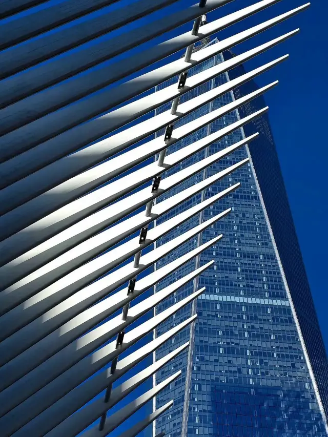 New York City: The City That Never Sleeps