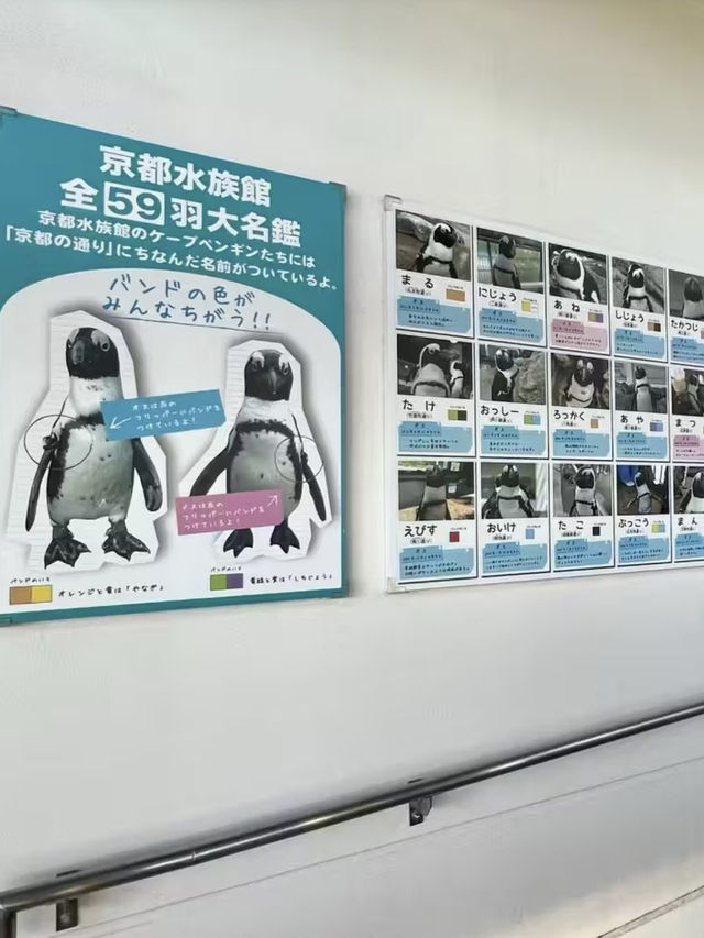 水族館的奇幻與麗嘉的優雅