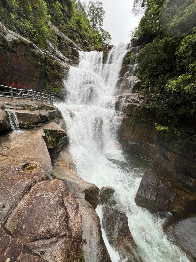 武夷山：丹霞秘境中的岩骨茶香與千年道韻
