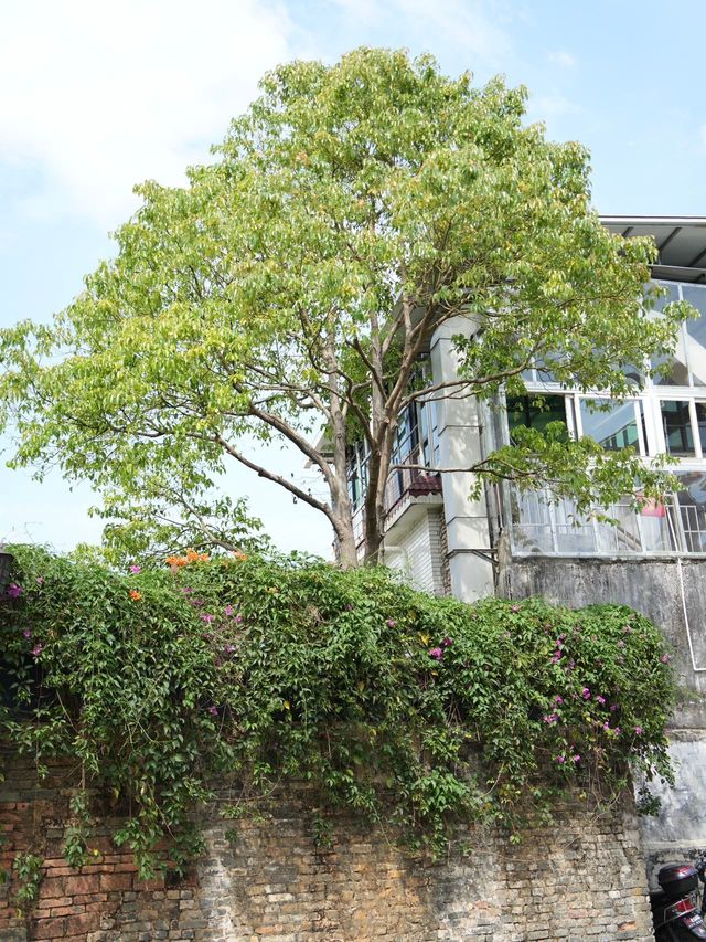 珠海攰攰哋漫遊路線請鎖死🔒