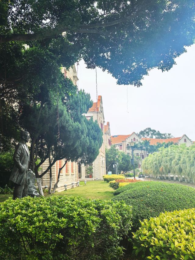 廈門大學！海邊療癒的讀書聖地！