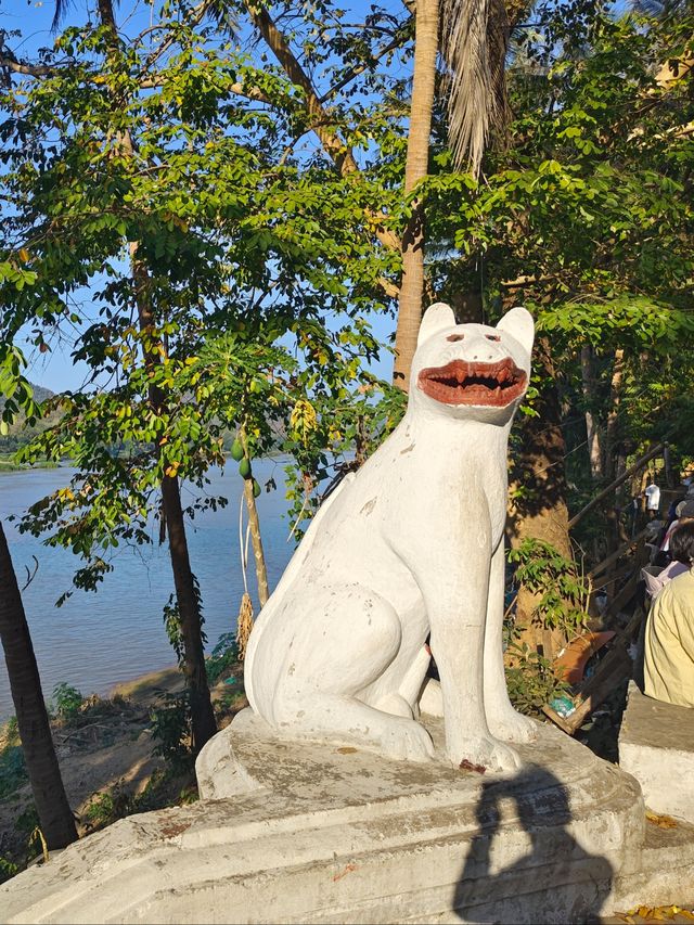 與佛光同塵的慢旅行，與晨霧交織的朝聖