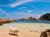 香港綠蛋島：獨木舟探險樂園