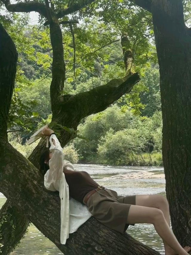 縉雲仙都｜彷彿掉進仙俠 將進酒 杯莫停！
