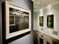 Uncover Taipei’s Best-Kept Photography Secret!