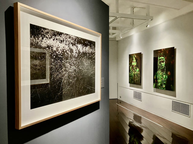 Uncover Taipei’s Best-Kept Photography Secret!