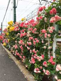東京都電荒川線交通攻略｜搭復古電車漫遊懷舊東京