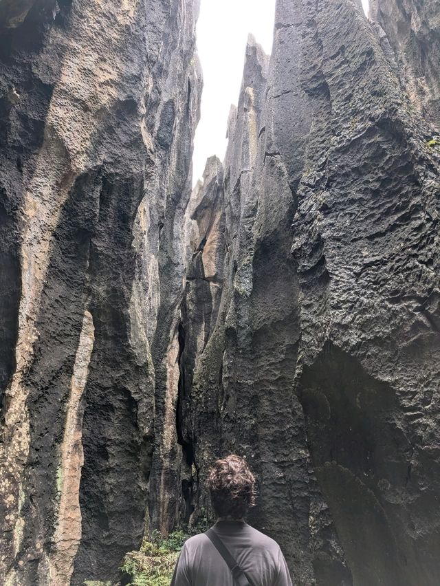 A Visit to The Stone Forests (and Stone Teeth) of Guilin 🏔️🌳