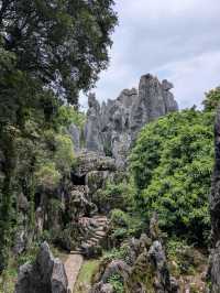 A Visit to The Stone Forests (and Stone Teeth) of Guilin 🏔️🌳