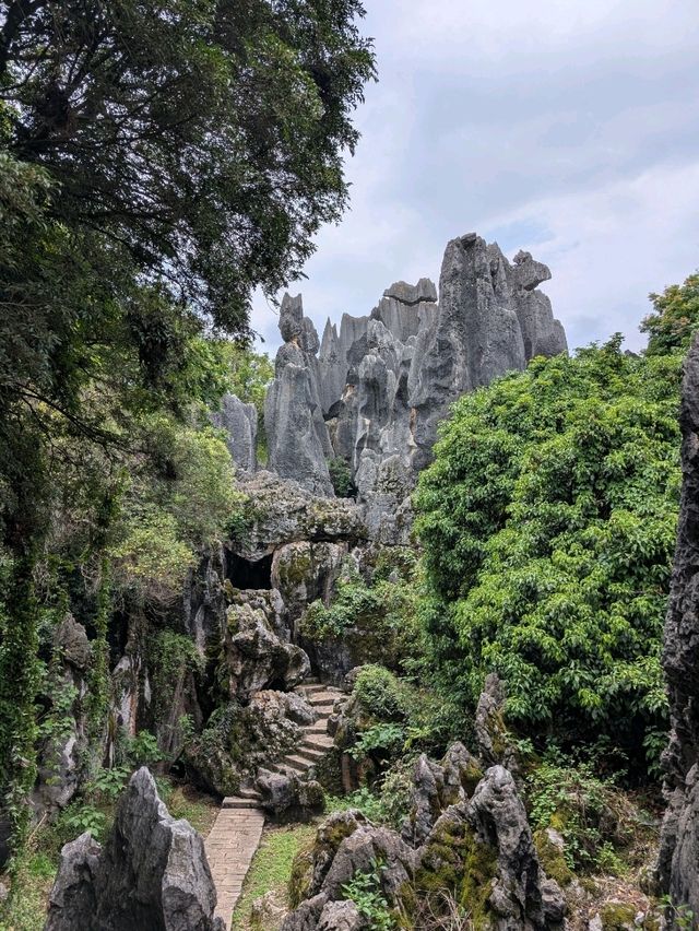 A Visit to The Stone Forests (and Stone Teeth) of Guilin 🏔️🌳