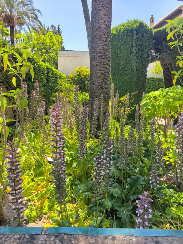 西班牙塞維利亞王宮後花園