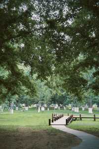 臨沂周邊週末遊：春夏嘅生生園靜謐生機