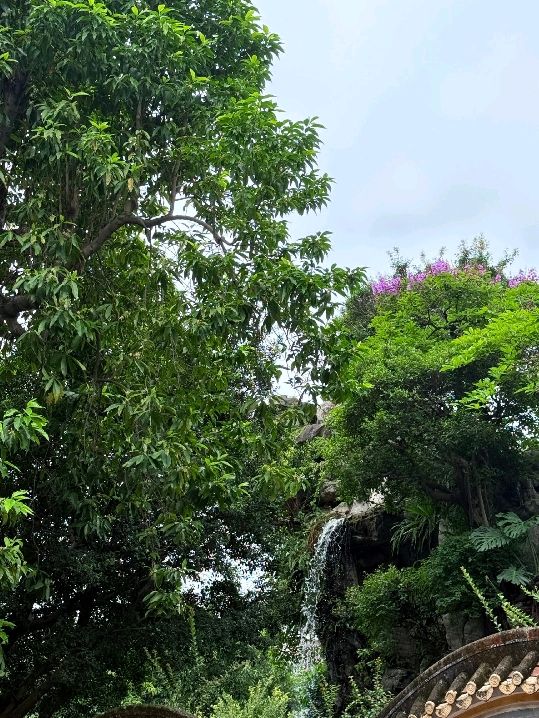 端午清暉園：邂逅嶺南園林雅韻