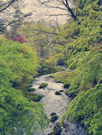 邂逅鐘山苑，沉浸富士山溫泉之境