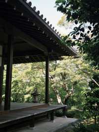 🌿【京都·常寂光寺】— 隱世古寺中的禪意漫遊 🌿