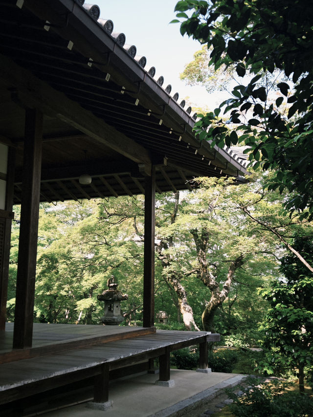 🌿【京都·常寂光寺】— 隱世古寺中的禪意漫遊 🌿