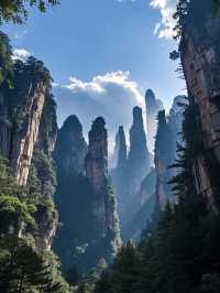 🌿闖入阿凡達星球！打卡張家界國家森林公園✨